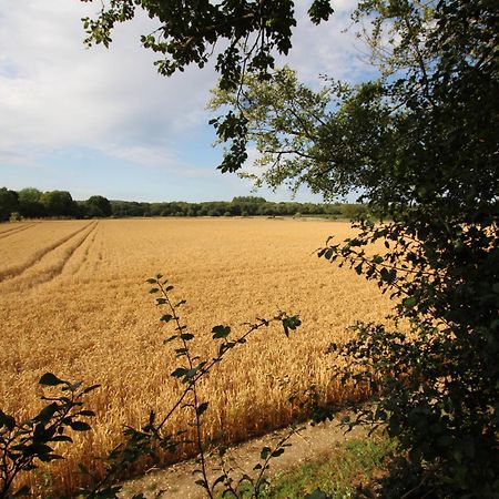 Cowslip Barn Annexe, Countryside Stay Near Chichester Dış mekan fotoğraf