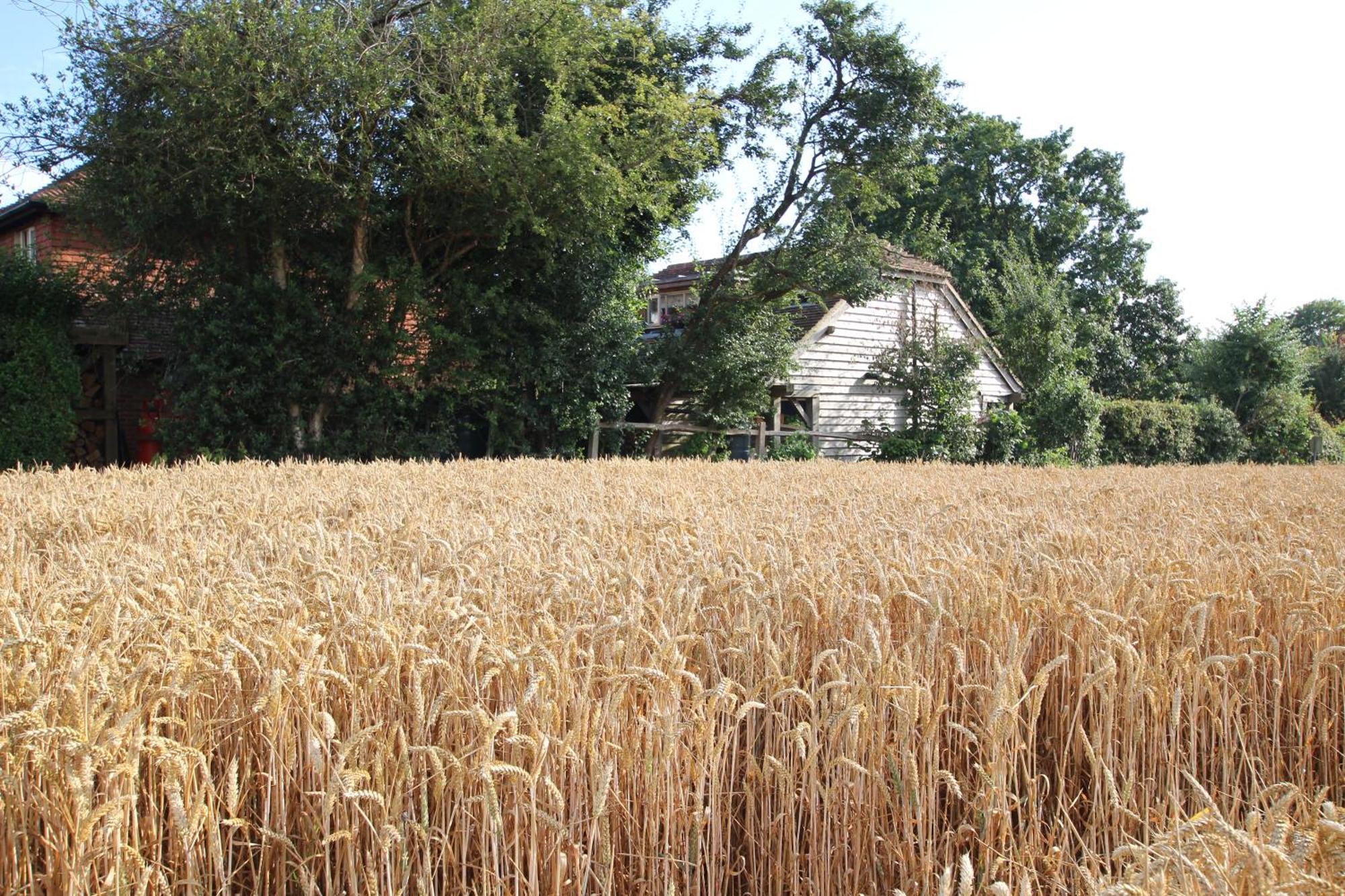 Cowslip Barn Annexe, Countryside Stay Near Chichester Dış mekan fotoğraf